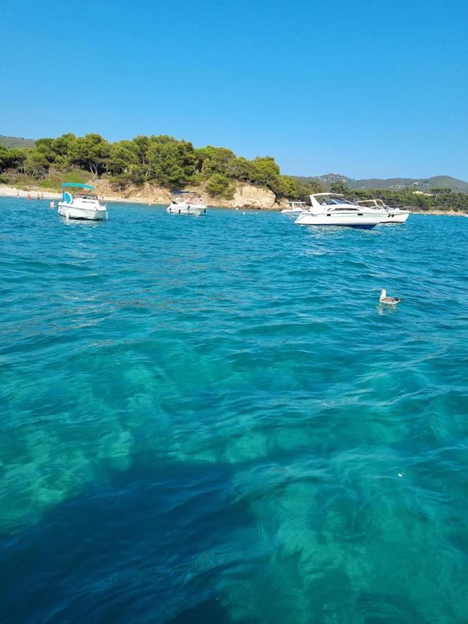 Studio "La Mer" A Bormes-Les-Mimosas Eksteriør billede